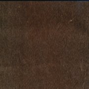 Ikoo 2